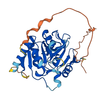 YRDC 3D structure