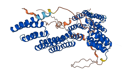 PRPF39 3D structure