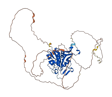 BIVM 3D structure