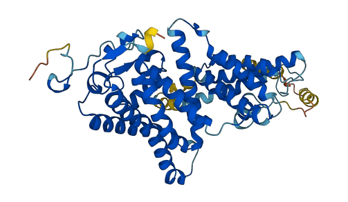 TMEM135 3D structure