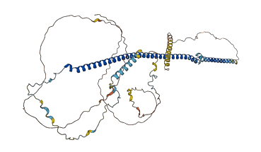 RSPH3 3D structure