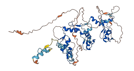 ZNF329 3D structure