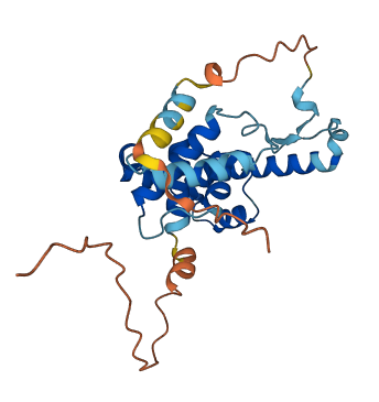TBC1D26 3D structure