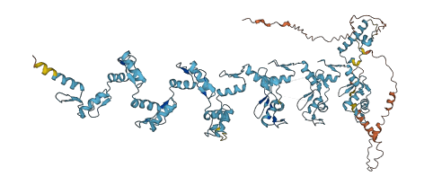 ZNF546 3D structure