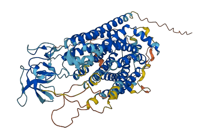 SLCO6A1 3D structure