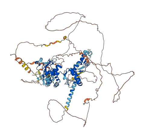 ZNF598 3D structure