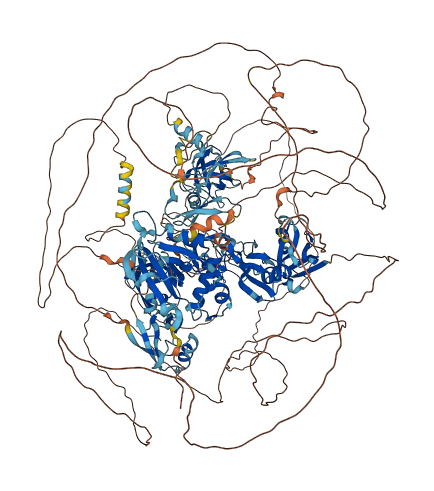 MAGI2 3D structure