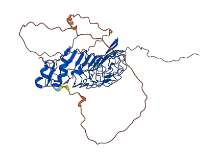 RTN4RL1 3D structure