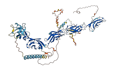 CDH24 3D structure