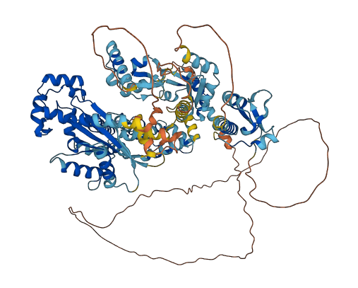 GTF2IRD2 3D structure