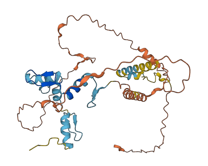 ZNF589 3D structure