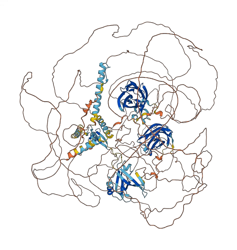 RIMS1 3D structure