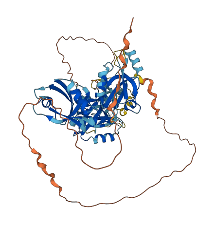 PDZD3 3D structure