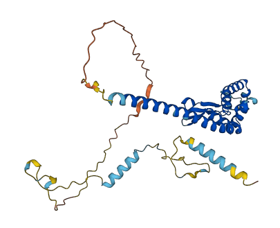CCDC84 3D structure