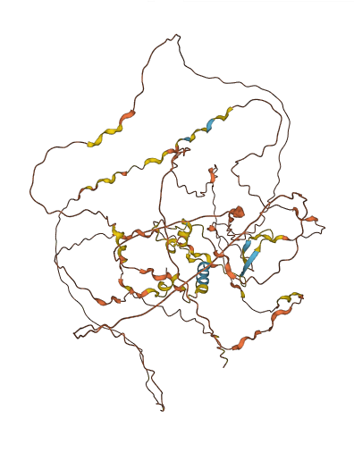 GGN 3D structure