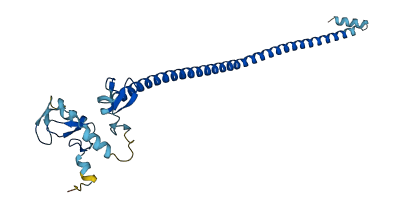 TRIM74 3D structure