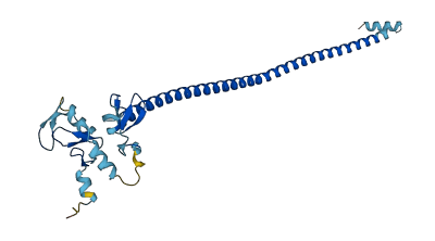 TRIM73 3D structure