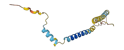 SLC51B 3D structure