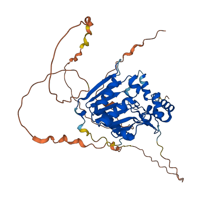 FAM83A 3D structure