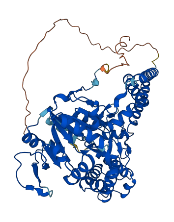 NT5DC3 3D structure