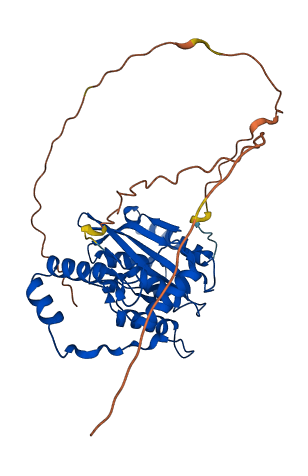 VASH2 3D structure