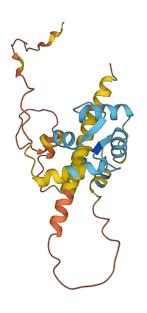 CABP7 3D structure