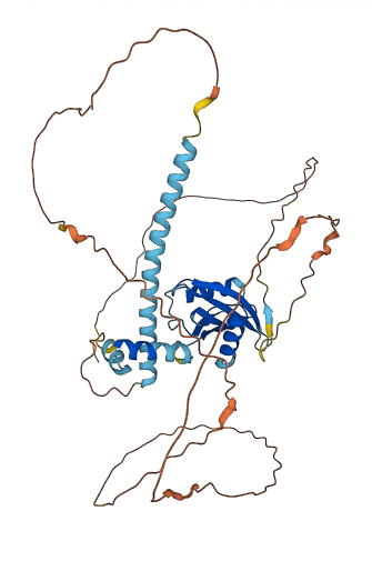 PNMA8A 3D structure