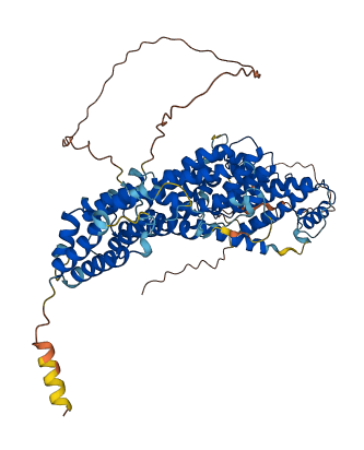 FAM160B2 3D structure