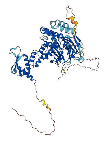 KBTBD6 3D structure