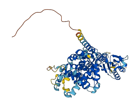 PIGZ 3D structure