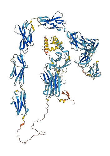 IGFN1 3D structure