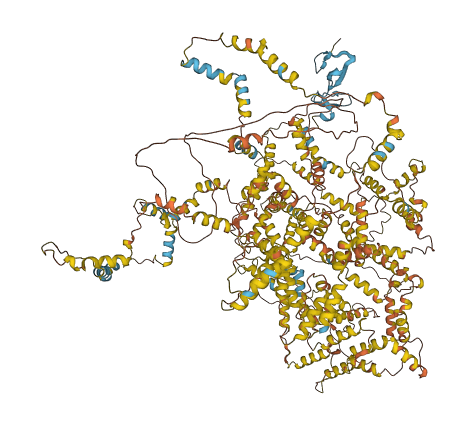 NRAP 3D structure