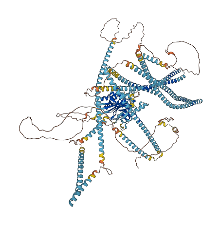 KIF27 3D structure