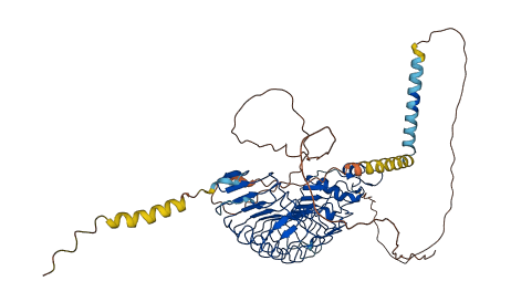LRRTM4 3D structure