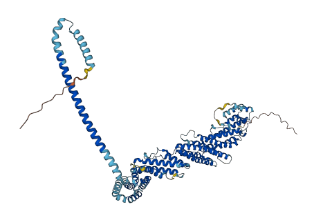 EXOC3L1 3D structure