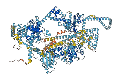 IQGAP3 3D structure