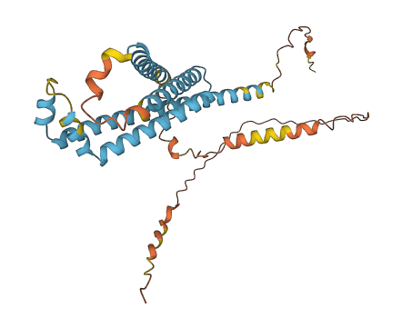 LAPTM4B 3D structure