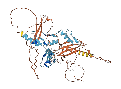 ZNF410 3D structure
