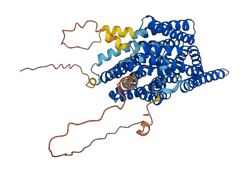 SLC47A2 3D structure