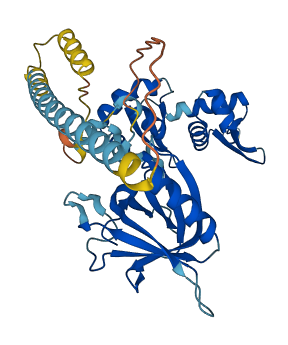 VPS36 3D structure