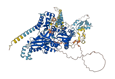 IQCH 3D structure