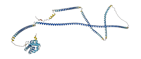 HOOK3 3D structure