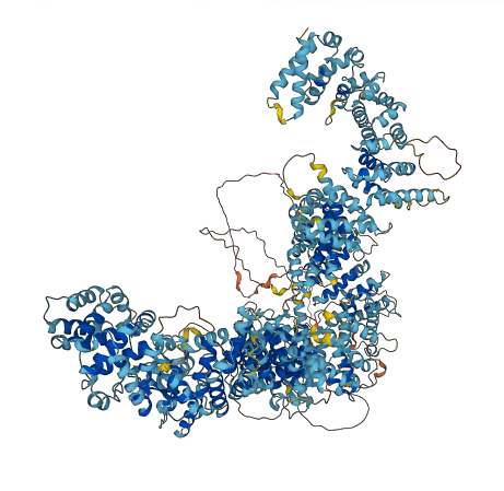 RTTN 3D structure