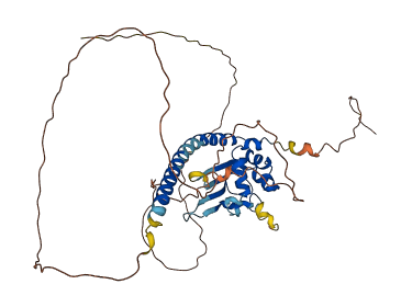 TSPYL5 3D structure