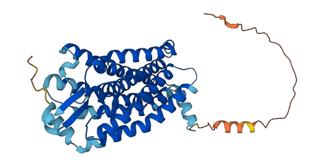 P2RY8 3D structure