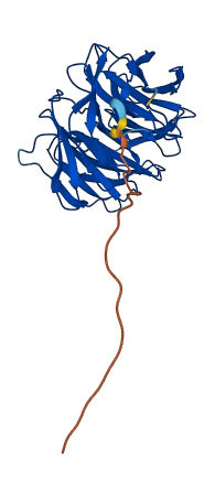 WDR5B 3D structure