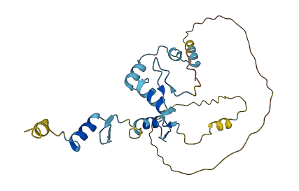 JAZF1 3D structure