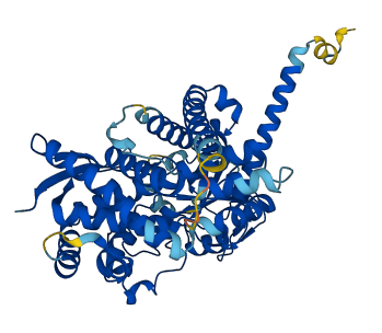 CYP4Z1 3D structure