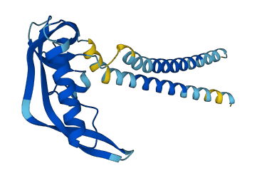 KCNMB4 3D structure