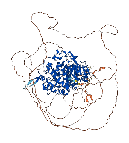 PARG 3D structure